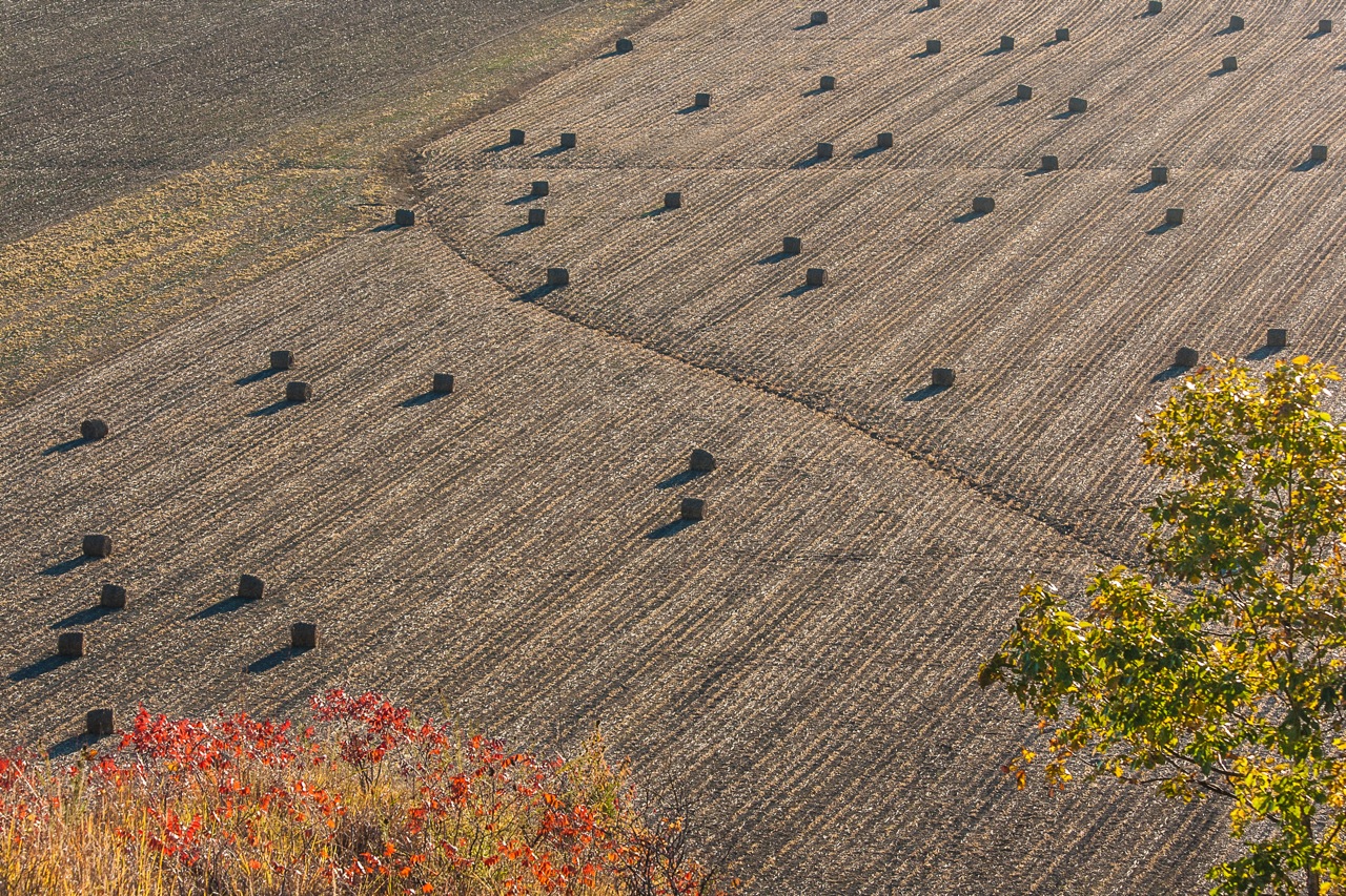 Martin Kemper: View of Hay Bales from Hill Prairie. Monroe County.