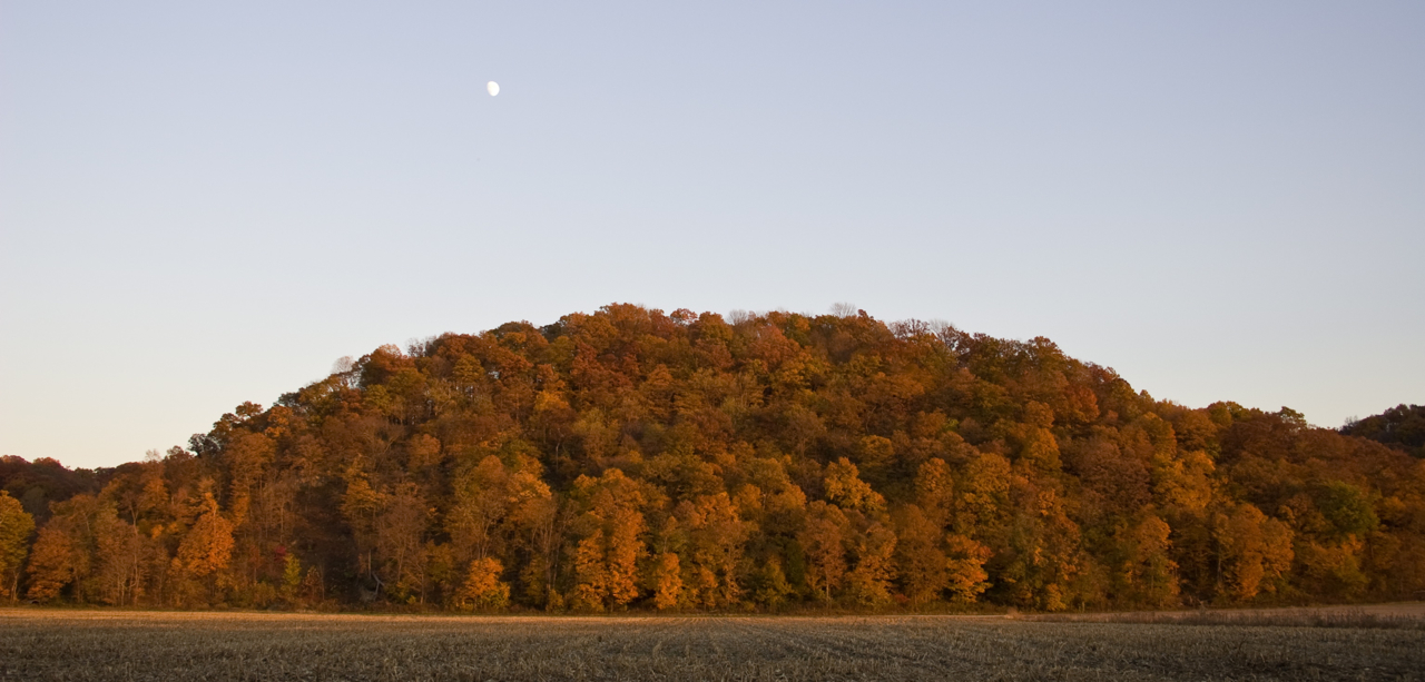 Dennis FitzWilliam: Moon over the Bluffs. Monroe County.