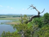 Ned Siegel: Fults Hill Prairie Nature Preserve 2. Monroe County.