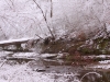 Paul Feldker: Bond Creek Winter. Monroe County.