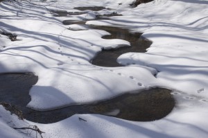 tracks-in-snow, D. FitzWilliam