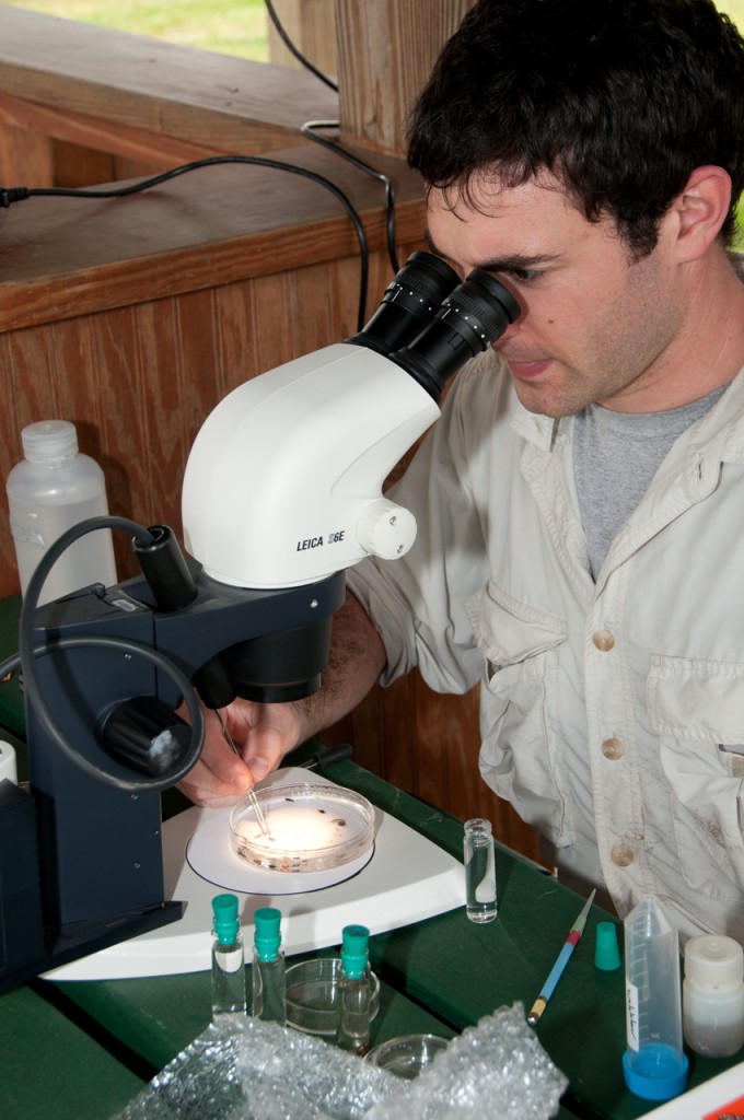 BioBlitz scientist, T. Rollins