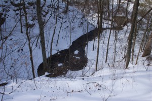 creek bed & snow, D. FitzWilliam
