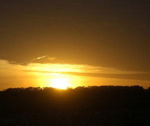 Sunset, T. Rollins