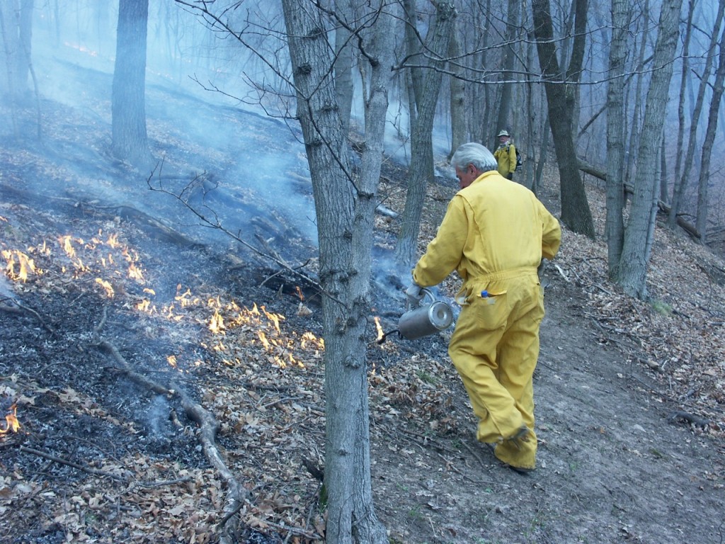 woods burn, J. Fricke photo