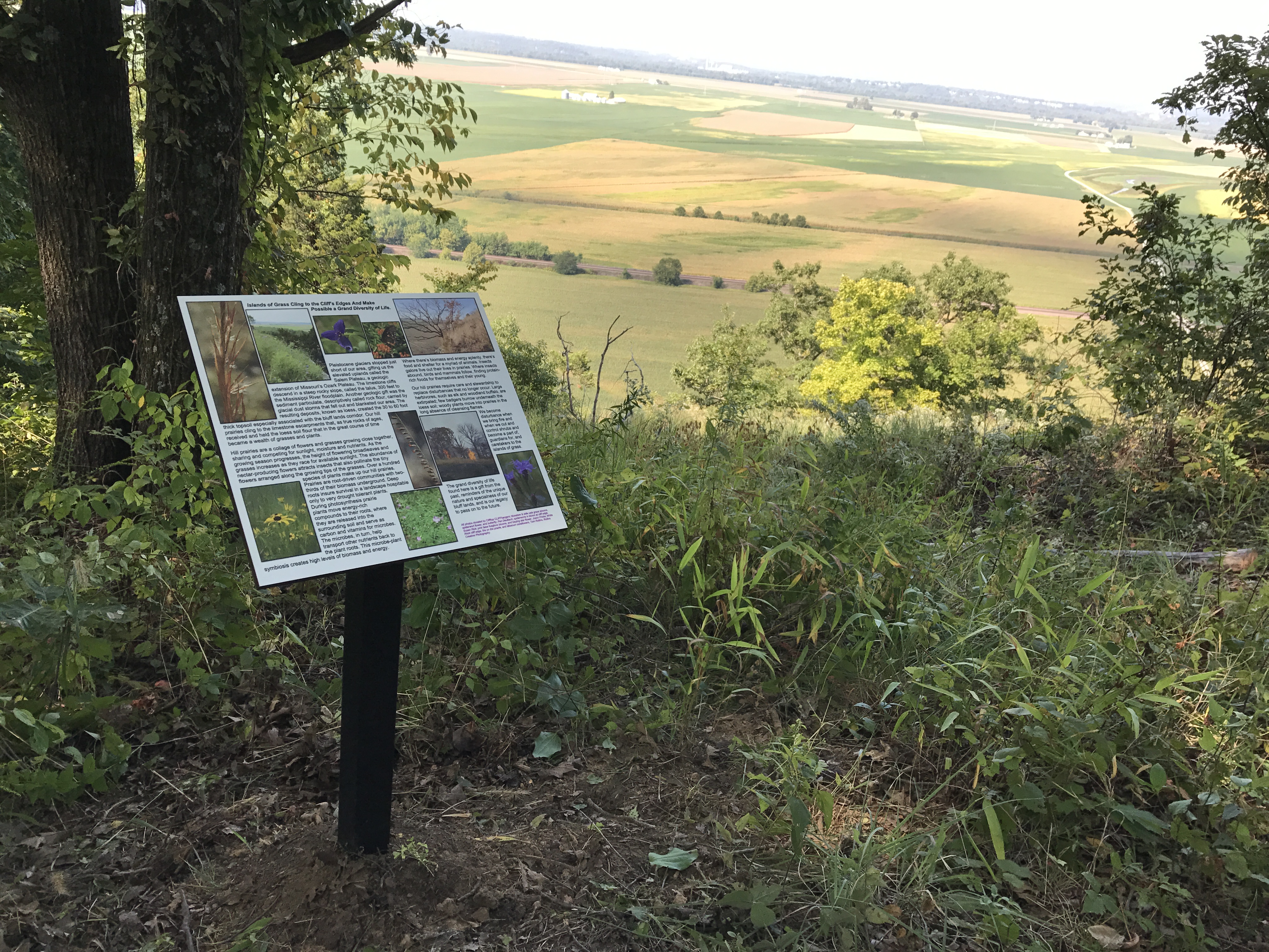 Disturbed Sites and Steep Slopes Planting Guide