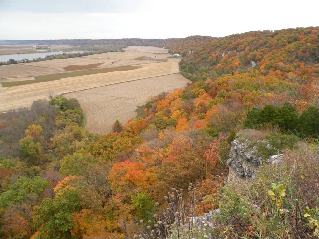 Salt Lick Point, J. Pflasterer